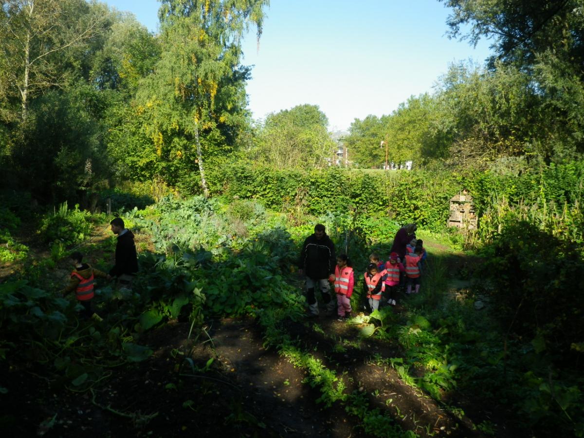 Potager sur butes Potager sur butes